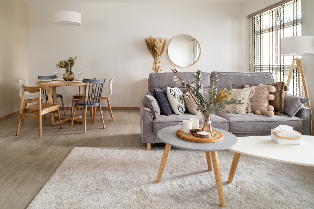 scandinavian living room with sofa and coffee table