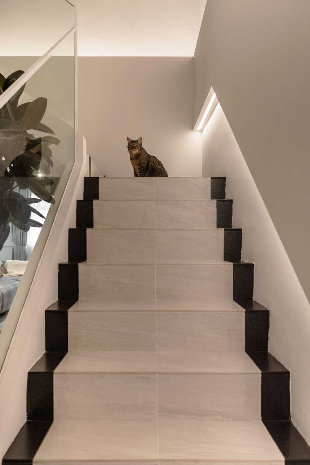 modern hallway with staircase and planters