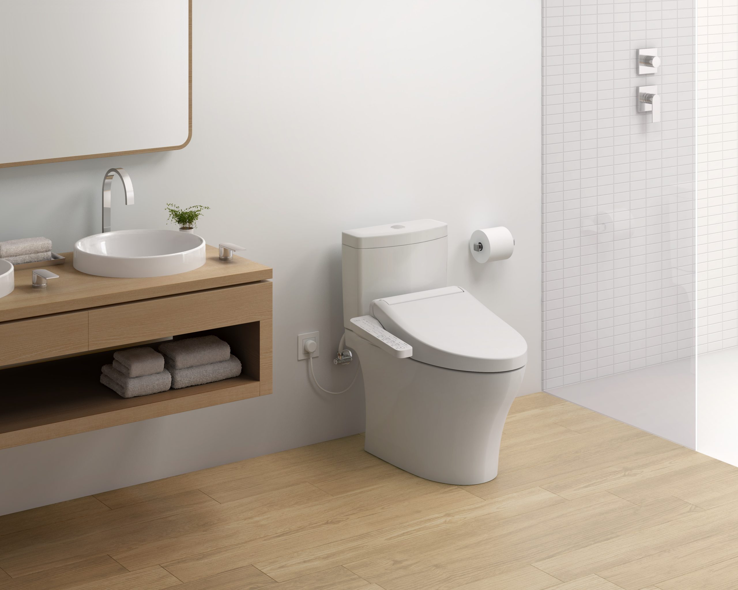 toilet with bidet