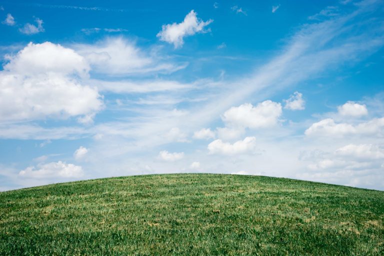 The Ultimate Guide To Air Purifiers